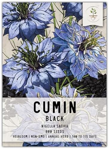 Seed Needs Black Cumin Seeds to Plant an Herb Garden - 1 Pack by SeedNeeds