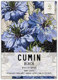 Seed Needs Black Cumin Seeds to Plant an Herb Garden - 1 Pack by SeedNeeds