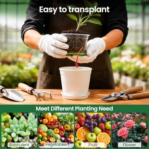 MIXC Self Watering Nursery Plant Pots with Silicone Base, 4-Inch, 12-Pack - Image 4