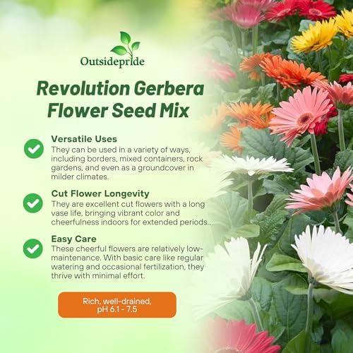 Outsidepride Revolution Select Mix Gerbera Seeds - 10 Pcs Perennial, Compact & Low Maintenance, Flower Seeds for Planting w/Vibrant Blooms, Ideal for Garden Landscaping & Cut Flower Arrangements - Image 3