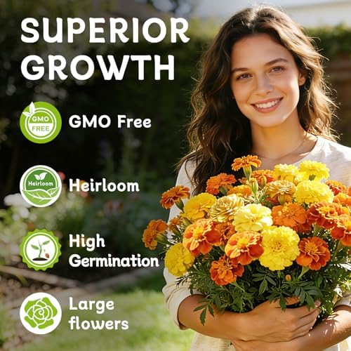 LUOJIBIE French Marigold Seeds for Planting Outdoors, Giant Marigold Flowers Seeds Bulk for 2026, Over 8,500+ Seeds Prolific Blooms, Ideal for Vibrant Pollinator Gardens - Image 3