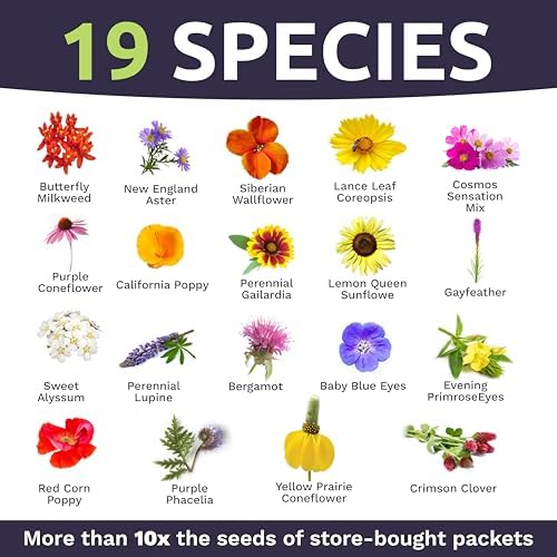 Bee Friendly Wildflower Seed Mix - Bulk 1/4 Pound Bag - Over 30,000 Open Pollinated Seeds - 100% Pure Live Seed - Save The Bees! - Image 4