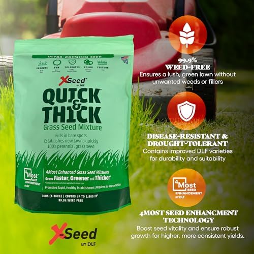 X-Seed Ultra Premium Quick and Thick Lawn Seed Mixture – Rapid Germination for Any Lawn, Dense Coverage in Sun to Shade, High-Traffic Areas, Fescue, Kentucky Blue, & Perennial Ryegrass Blend, 3lb Bag - Image 2