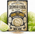 Iceberg Lettuce Seeds, Crisphead Lettuce Seeds for Planting, Full Sun Vegetable Garden Seeds, Crisp Refreshing Lettuce Heads for Salads, Sandwiches, Burgers and Wraps by BraggableGardens