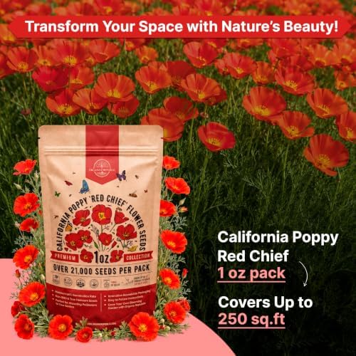 California Poppy Red Chief Seeds 1oz Over 21,000 Non-GMO Heirloom Eschscholzia californica Seeds for Planting, Individual Seed Packet, Planting Home Garden Indoor & Outdoor - Image 4