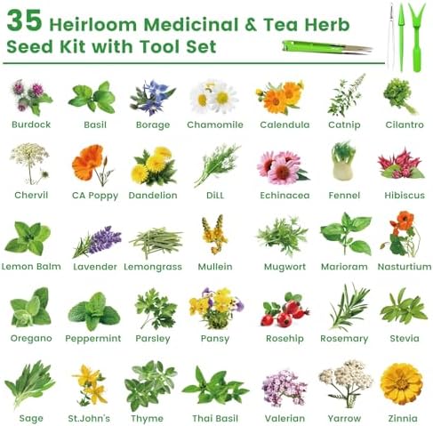 35 Herb Seeds Variety Pack, 16,400+ Non-GMO Heirloom Seeds for Planting - Image 4