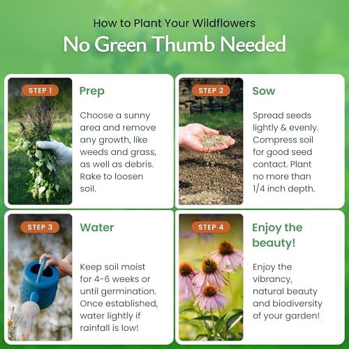 Georgia Wildflower Seed Mix – Over 35,000 Flower Seeds, Covers 300 Sq Ft - Image 4