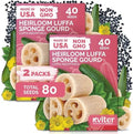 80 Luffa Heirloom Vegetable Seeds for Planting, Luffa Aegyptiaca by KVITER