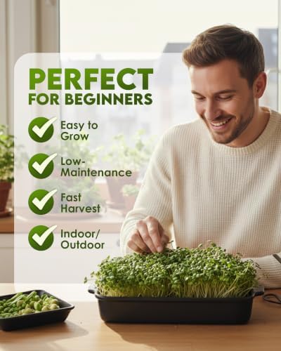 Nature Jim's Sprout Organic Broccoli Seeds – Non-GMO, Sprouting Seeds - 8oz - Image 4