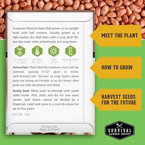 Dry Bean Seeds for Planting – 5 Varieties - Survival Garden Seeds - Image 2