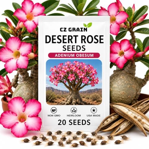 20 Desert Rose Seeds | Adenium Obesum Exotic Flower Seeds by CZGrain