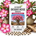 20 Desert Rose Seeds | Adenium Obesum Exotic Flower Seeds by CZGrain