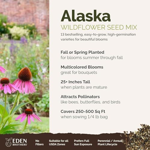 Eden Brothers Alaska Wildflower Mixed Seeds for Planting, 1/4 lb - Image 2