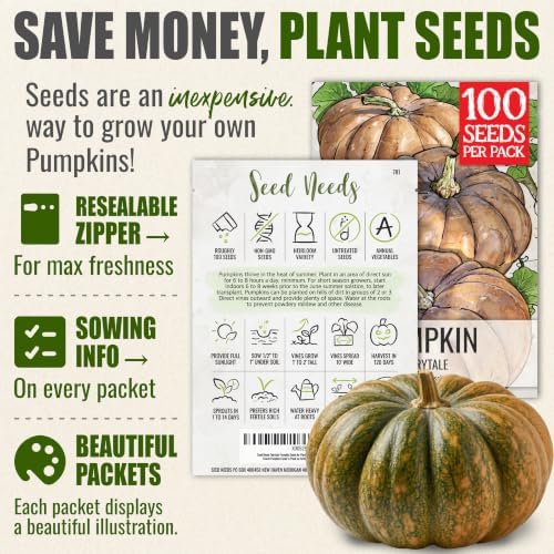 Seed Needs Pumpkin Seeds to Plant Fairytale Pumpkins (Bulk) - Image 3