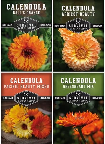 Calendula Seeds for Planting - 4 Variety Collection - Survival Garden Seeds by SurvivalGardenSeeds