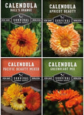 Calendula Seeds for Planting - 4 Variety Collection - Survival Garden Seeds by SurvivalGardenSeeds