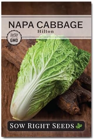 Sow Right Seeds - Hilton Napa Cabbage Seed for Planting Asian Vegetables by SowRightSeeds