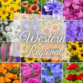 Western Wildflower Seed Mix – 16 Regionally Adapted Species for Colorado, Idaho, Montana, Wyoming, Utah & More – Pollinator Friendly Non-GMO Wildflower Seeds – 1/8lb Covers Up to 400 Sq Ft by PaperStreetPerennials