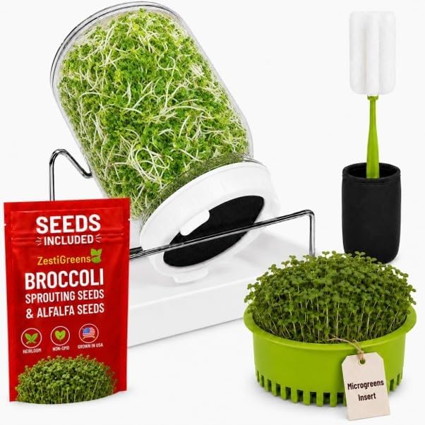Broccoli Sprouts Growing Kit with Mason Jar, Stand, Tray & USA Seeds by ZESTIGREENS
