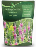 Outsidepride Purple Prairie Clover Seeds - 5 lb. Perennial Seeds for Planting, Easy to Grow, Drought & Heat Tolerant, High Protein Forage for Livestock, Ideal for Meadow Gardens, & Xeriscaping by Outsidepride