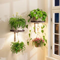 Plant Wall Hanger with Grow Lights Set of 2 for Indoor, Bronze by iDavosicly