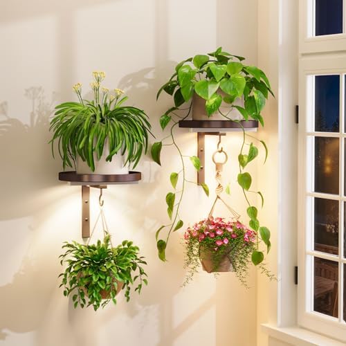 Plant Wall Hanger with Grow Lights Set of 2 for Indoor, Bronze by iDavosicly