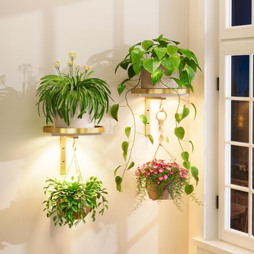 Plant Wall Hanger with Grow Lights Set of 2 for Indoor, Gold by iDavosicly