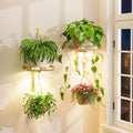 Plant Wall Hanger with Grow Lights Set of 2 for Indoor, Gold by iDavosicly