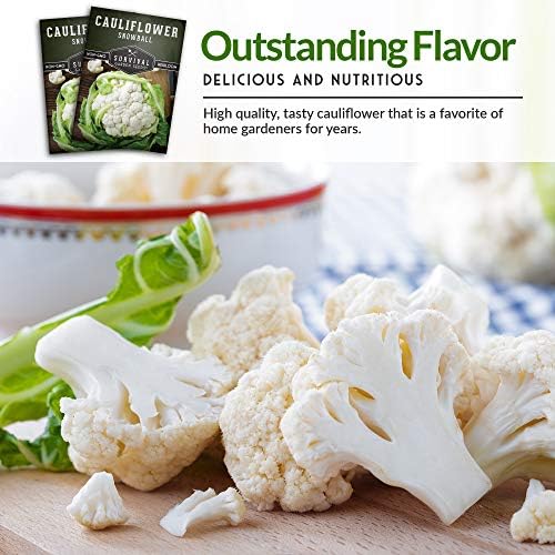 White Cauliflower Seeds for Planting, Snowball Variety - 1 Pack - Image 4
