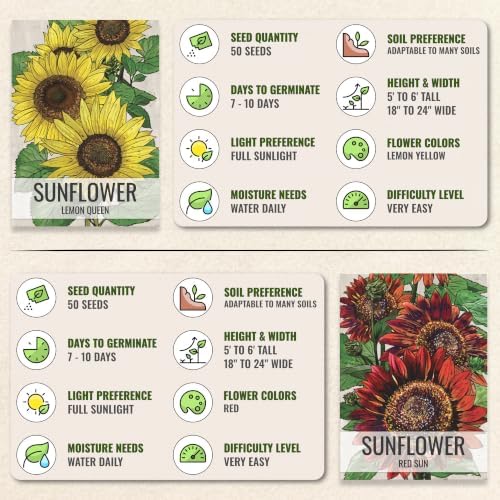 Seed Needs Sunflower Seeds Variety Pack of 6 Flowers for a Butterfly Garden - Image 6