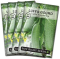 Sow Right Seeds - Luffa Gourd Seed for Planting Loofah Natural Sponge 4pk by SowRightSeeds