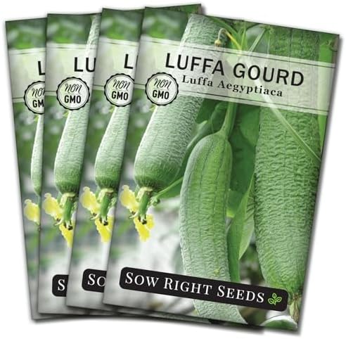 Sow Right Seeds - Luffa Gourd Seed for Planting Loofah Natural Sponge 4pk by SowRightSeeds