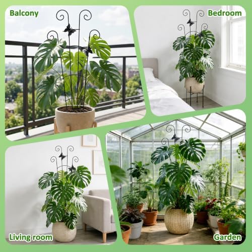Monstera Plant Support - 4-Pack of 32.6" Tall Plant Trellis Stakes for Large Indoor Vines | Adjustable Dual Pole Frame for Monstera Deliciosa & Potted Plants - Image 5