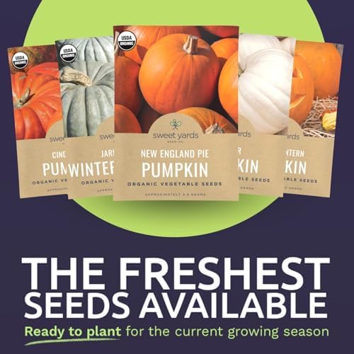 Organic Pumpkin Seeds Variety Pack - 6 Individual Packs - 2026 Season - Jack O' Lantern, Cinderella, Big Max and More! for Indoor & Outdoor Planting (Non-GMO, Certified Organic) - Image 3