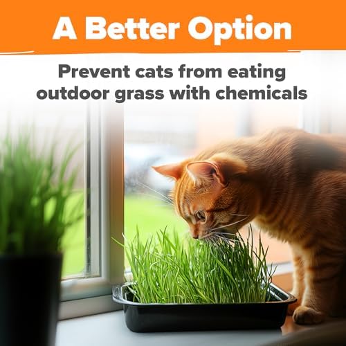 HOME GROWN Organic Cat Grass Seed Mix Oat & Barley 4 oz Easy Indoor Planter - Image 3