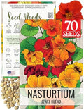 Seed Needs Nasturtium Seeds to Plant Double Flower Jewel Mixture 1 Pack by SeedNeeds