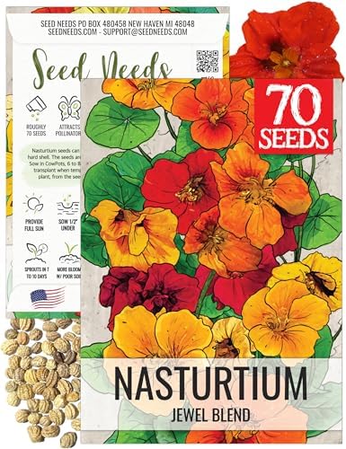 Seed Needs Nasturtium Seeds to Plant Double Flower Jewel Mixture 1 Pack by SeedNeeds