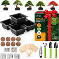 Bonsai Starter Kit for Growing Trees - DIY 5X Unique Japanese Bonsai Trees by Calviya
