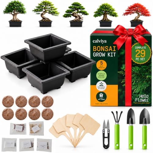 Bonsai Starter Kit for Growing Trees - DIY 5X Unique Japanese Bonsai Trees by Calviya