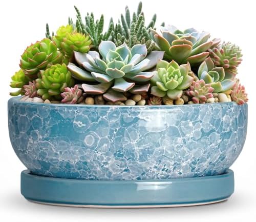 Succulent Planter, 13 Inch Ceramic Bonsai Pots, Droplet Blue by Wliror