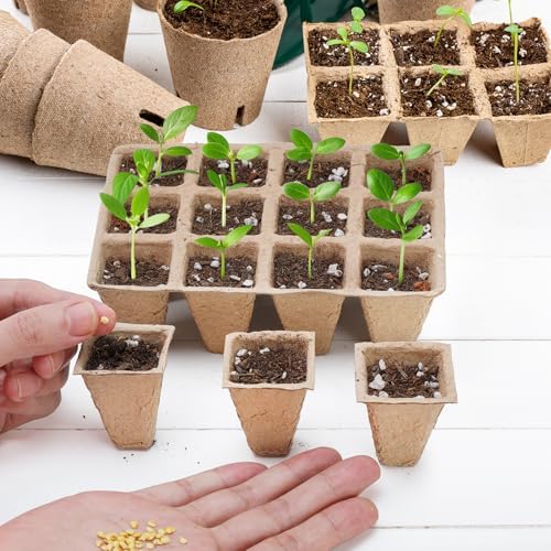 Doter 10 Packs Seedling Starter Trays 120 Cells, Biodegradable Seed Germination Trays Plant Starter Peat Pots for Seedlings - Image 3