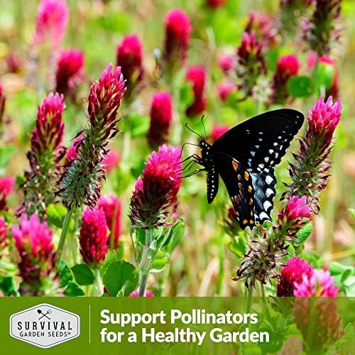 Crimson Clover Seeds for Planting - Survival Garden Seeds (2 Pack) - Image 5
