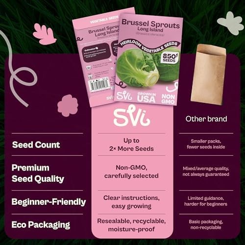 SVI 850 Long Island Brussels Sprouts Seeds (Brassica Oleracea) – Brussel Sprouts Seed Packets, Heirloom Brussel Sprout – Cold Hardy Vegetable Seeds Home Garden, Outdoor Beds, Containers - Image 6