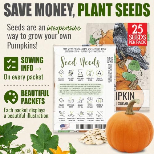 Seed Needs Small Sugar Pumpkin Seeds to Plant Vegetables - 10 Packs - Image 3