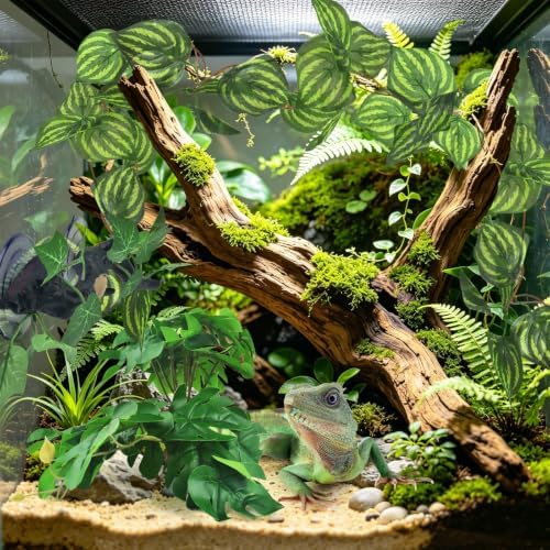 KATUMO 3PCS Reptile Plants, Terrarium Plant Artificial Decor, Fake Plant - Image 5