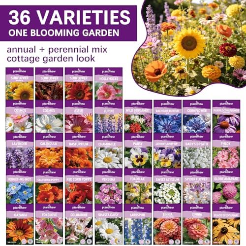 Wildflower Seeds Mix 1/2 lb, 19830+ Seeds Perennial& Annual 36 Varieties Flower Seeds for Planting，Non-GMO Heirloom Bulk Wild Flower Seeds for Indoor & Outdoors, FlowerSeed Packets for Home Garden - Image 2