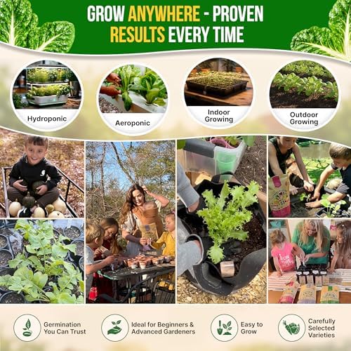 Swiss Chard Fordhook Seeds Pack 3.75 g - Over 200 Non-GMO Heirloom Swiss Chard Seeds for Planting Greens in Individual Seed Packet, Greens Seeds for Planting Indoor & Outdoor Garden - Image 5