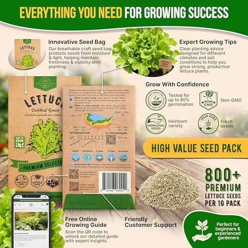 Lettuce Oakleaf Seeds Pack 1 G - Over 800 Non-GMO Heirloom Lettuce Seeds for Planting Greens in Individual Seed Packet, Greens Seeds for Planting Home Garden Indoor & Outdoor Gardening - Image 3
