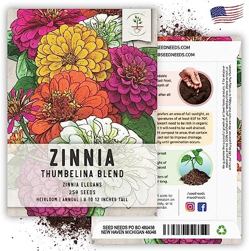 Seed Needs Thumbelina Zinnia Seeds to Plant Cut Flowers - 5 Packs - Image 6