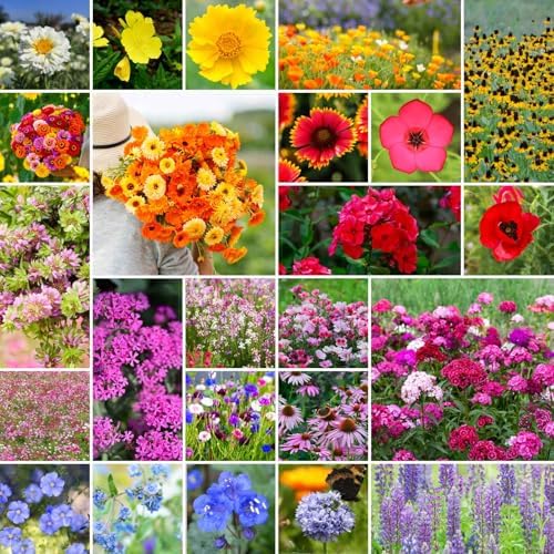 Eden Brothers Heirloom Flower Mixed Seeds for Planting, 1/4 lb, 120,000+ Seeds with Zinnia, Toadflax, Evening Primrose | Attracts Pollinators, Plant in Spring or Fall, Zones 3, 4, 5, 6, 7, 8, 9, 10 by EdenBrothers